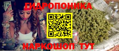эйфоретик Заводоуковск