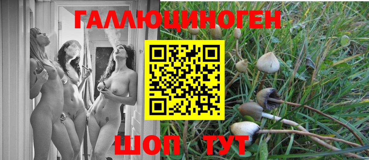 Галлюциногенные грибы Cubensis  Псилоцибиновые грибы мухоморы  Лянтор  Вход с VPN 